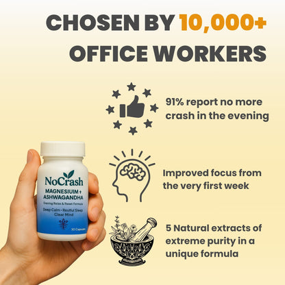 No Crash Protocol - Stop Brain Fog after Lunch