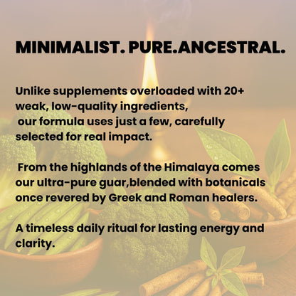 No Crash Protocol - Stop Brain Fog after Lunch